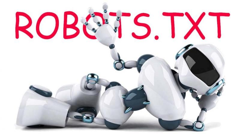 Что такое robots.txt и зачем он нужен в Сыктывкаре